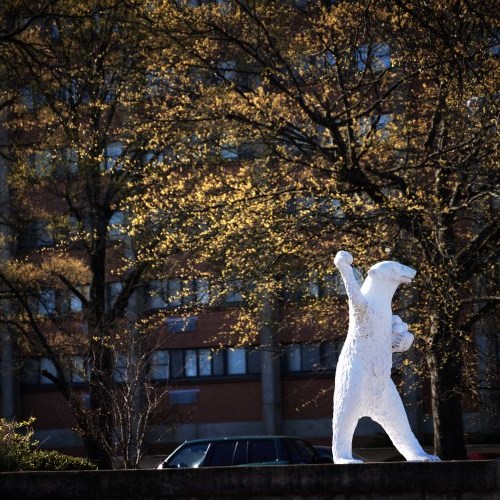 Polar bear Statue